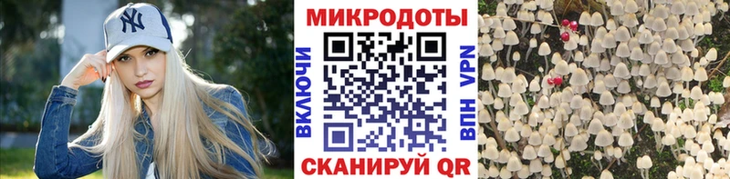 даркнет телеграм  Ильский  Псилоцибиновые грибы MAGIC MUSHROOMS 