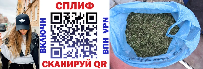 Конопля семена Ильский